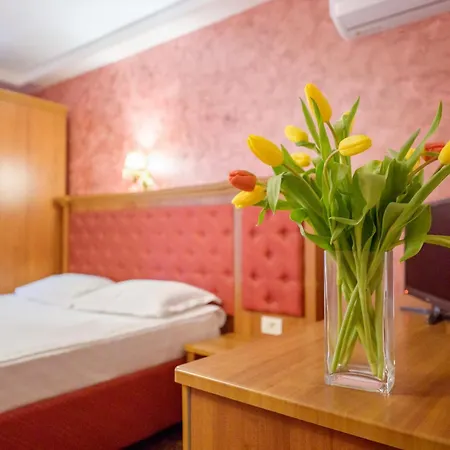 Iris-mimoza Hotel Jupiter